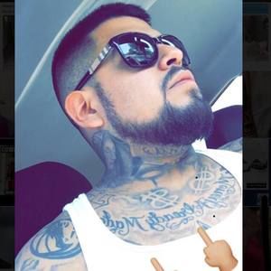 Meet your Posher, Rene